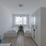 Bazova With Free Parking Bratislava
